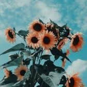 𝓶𝓮𝓮𝓽 𝓶𝓮, 𝓪𝓵𝓲𝓬𝓮!